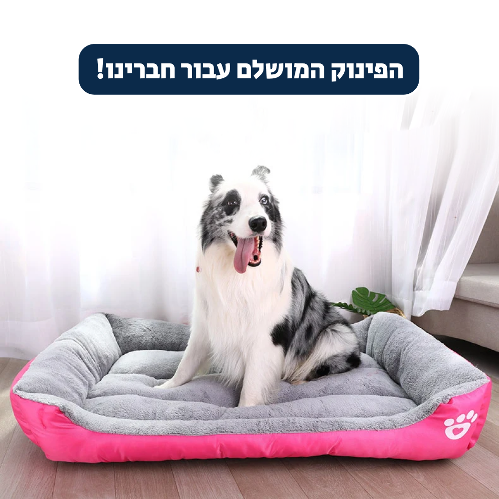 ®POMY BED | מיטה לכלבים