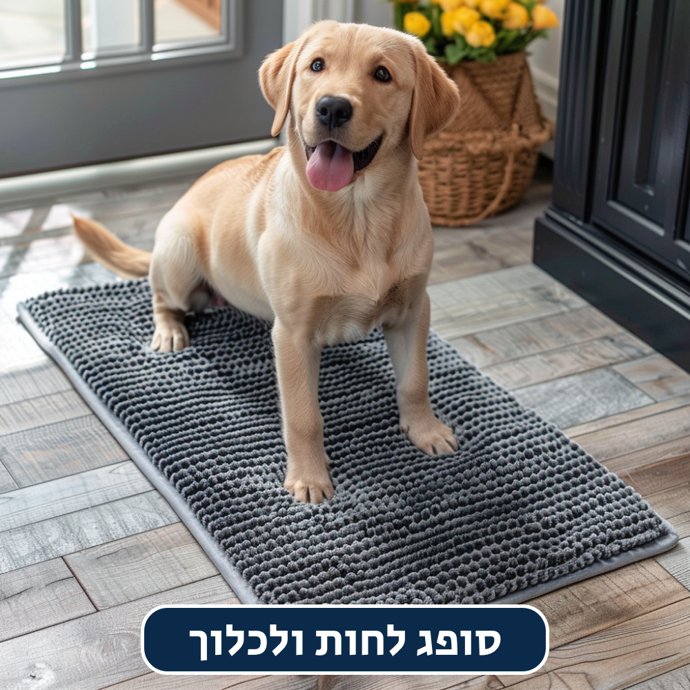 ®CLEANYMAT | שטיח לשמירה על ניקיון ואיסוף לכלוך