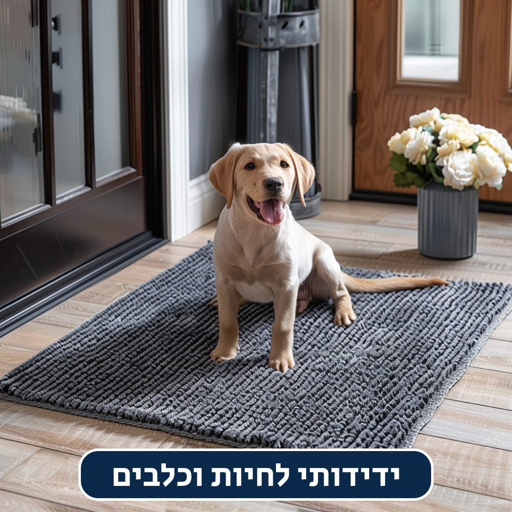 ®CLEANYMAT | שטיח לשמירה על ניקיון ואיסוף לכלוך