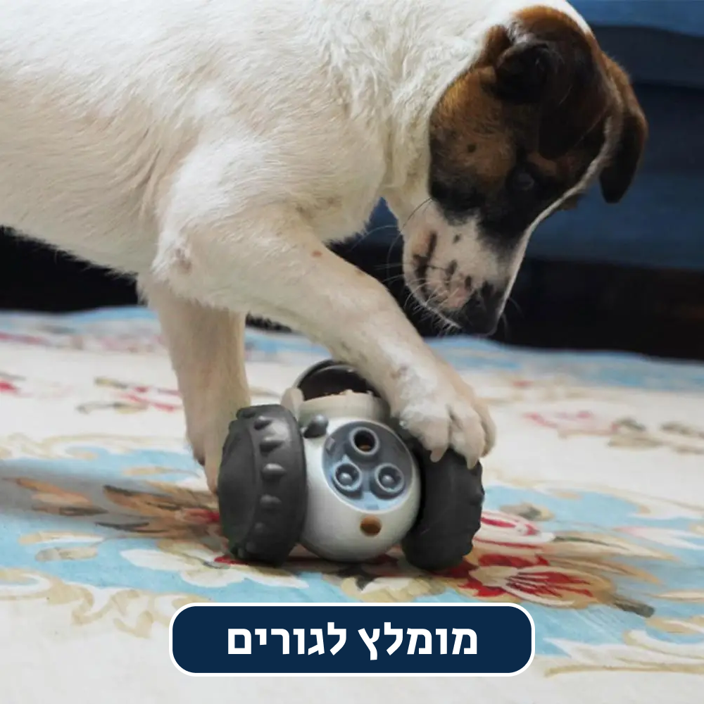 ®FEEDCONTROL | משחק אוכל לחיית המחמד