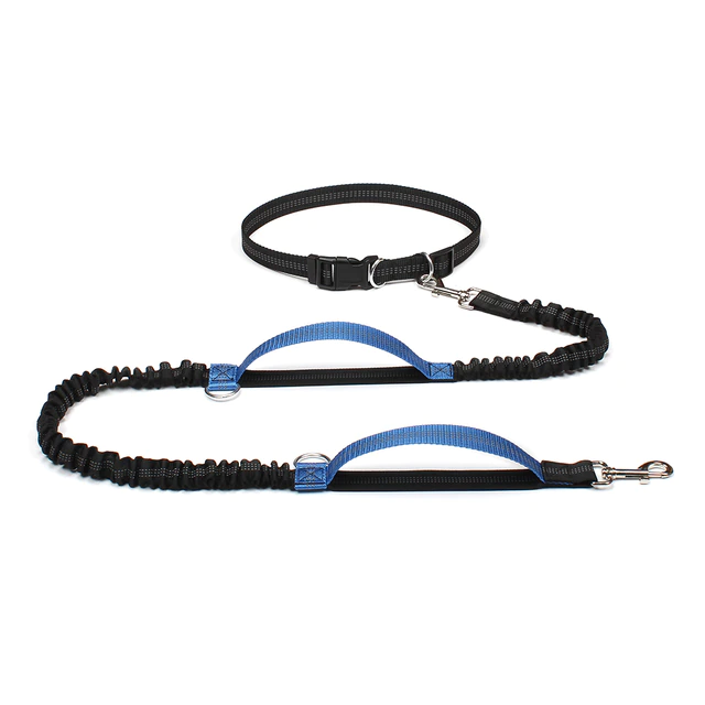 ®MOBY LEASH | רצועה מודולרית