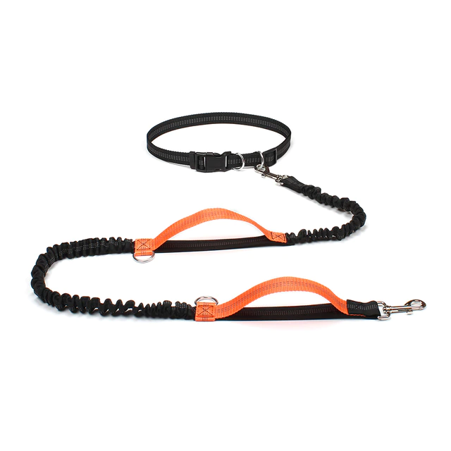 ®MOBY LEASH | רצועה מודולרית