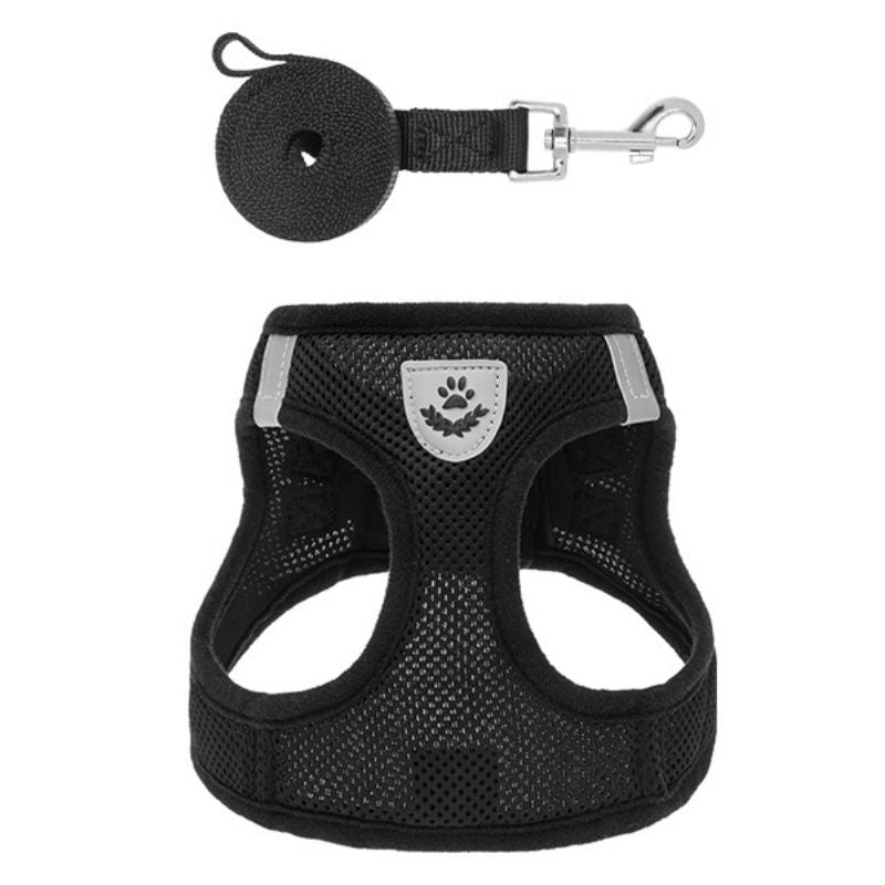 ®PET HARNESS | רתמת רשת עם רצועה - לכלבים קטנים