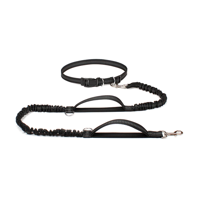 ®MOBY LEASH | רצועה מודולרית