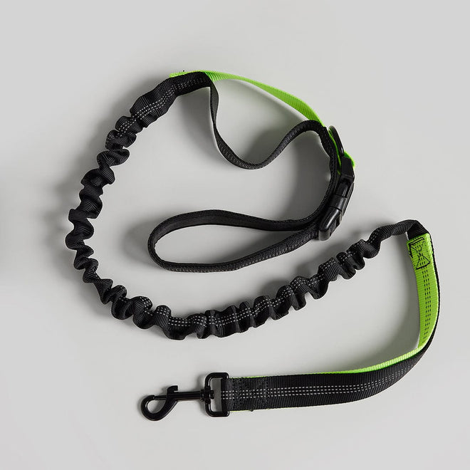 ®MOBY LEASH | רצועה מודולרית