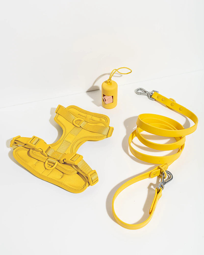 ®WALKY HARNESS KIT | סט רתמה רצועה ומתקן שקיות לכלבים