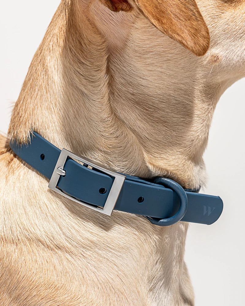 ®WALKY COLLAR | קולר לכלבים