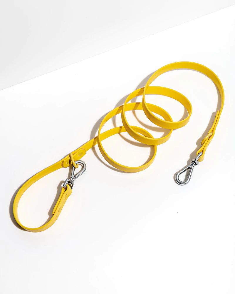 ®WALKY LEASH | רצועה לכלבים (1.8 מטר)